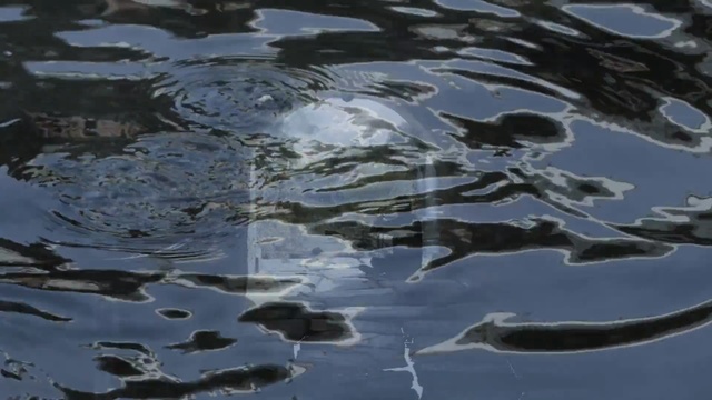Video Reference N2: reflection, water, water resources, atmosphere, sky, earth, wave, black and white, watercourse