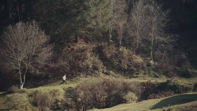Video Reference N6: Nature, Vegetation, Tree, Biome, Grass, Forest, Woodland, Landscape, Plant, Soil