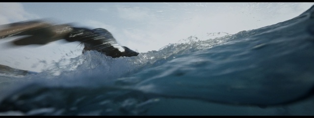Video Reference N4: Wave, Water, Wind wave, Sea, Ocean, Sky, Tide, Seabird, Surfing