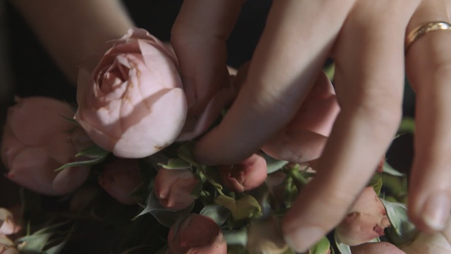 Video Reference N2: flower, hand, finger, nail, petal, rose family, leg, plant, girl, rose, Person