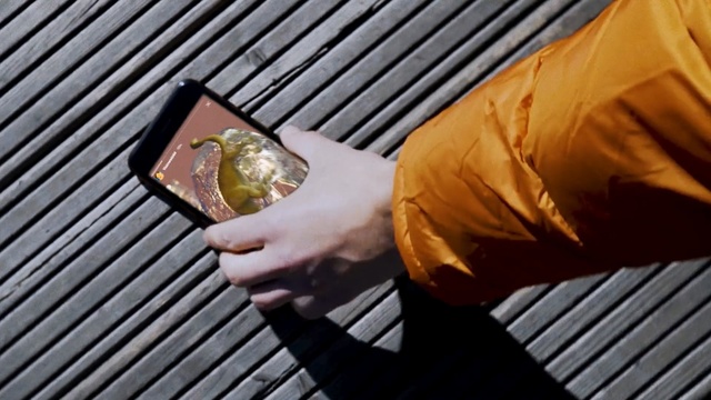 Thumbnail