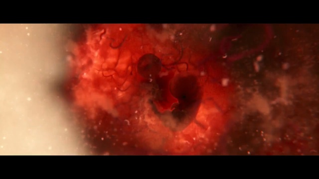 Video Reference N3: atmosphere, close up, mouth, universe, geological phenomenon, nebula, astronomical object, organism, computer wallpaper, flesh