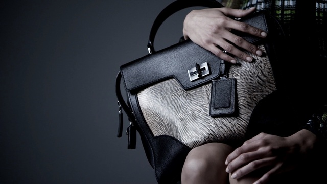 Video Reference N1: Bag, Shoulder, Hand, Leather, Joint, Arm, Handbag, Photography, Fashion accessory, Baggage