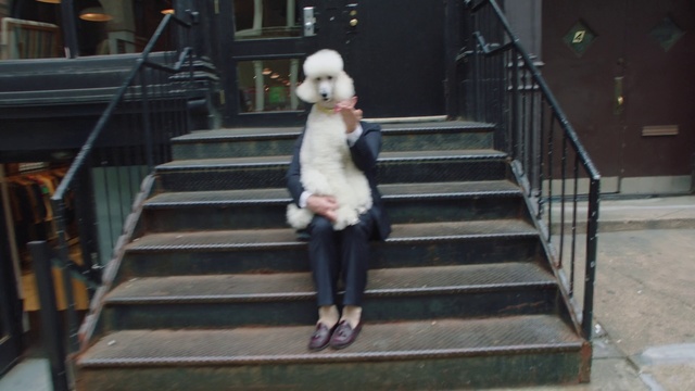 Video Reference N7: Stairs, Snapshot, Fashion, Fur, Footwear, Leg, Handrail, Shoe, Building, Outdoor, Stair, Young, Child, Holding, Girl, Little, Boy, Woman, Hand, Sitting, Set, Bench, Walking, White, Playing, Riding, Dog, Step, Carnivore, Arm