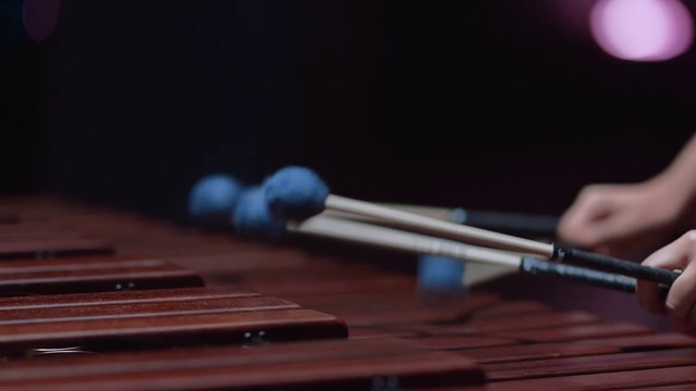 Video Reference N14: Xylophone, Marimba, Vibraphone, Musical instrument, Percussion mallet, Musical instrument accessory