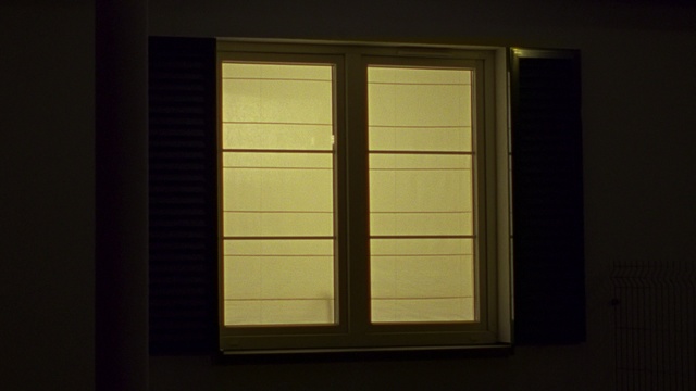 Video Reference N1: Window, Door, Wall, Architecture, Wood, Daylighting, Room, Window covering, Tints and shades, Glass