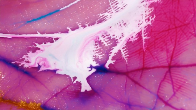 Video Reference N2: Pink, Purple, Red, Water, Violet, Close-up, Magenta, Graphic design, Macro photography, Graphics