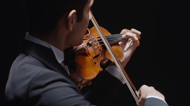 Video Reference N2: String instrument, Music, String instrument, Musical instrument, Violin, Violist, Violinist, Fiddle, Viola, Musician