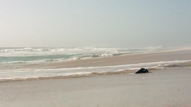Video Reference N4: beach, coastal and oceanic landforms, shore, sea, ocean, coast, wind wave, sky, horizon, wave