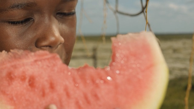 Video Reference N2: watermelon, melon, citrullus, cucumber gourd and melon family, mouth, food, fruit, produce, jaw