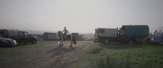 Video Reference N5: Horse, Mode of transport, Atmospheric phenomenon, Pack animal, Ecoregion, Steppe, Working animal, Landscape, Pasture, Rural area