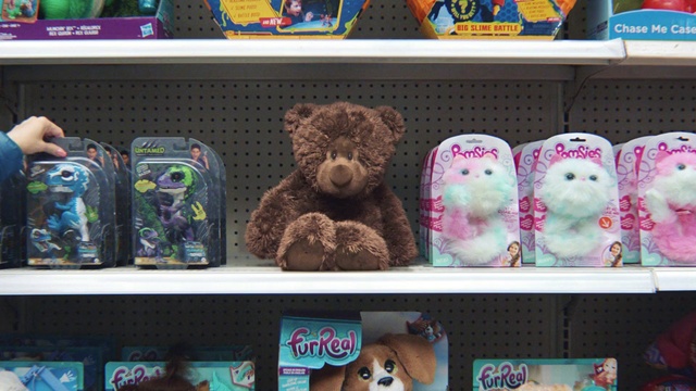 Video Reference N1: Toy, Teddy bear, Shelf, Bear, Collection, Plush, Stuffed toy, Room, Shelving, Souvenir