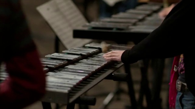Video Reference N4: Musical instrument, Keyboard player, Organist, Musical keyboard, Technology, Folk instrument, Xylophone, Electronic device, Organ, Keyboard