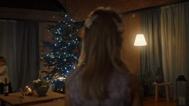 Video Reference N1: hair, event, lighting, christmas, girl, tree, christmas decoration, darkness, decor, night