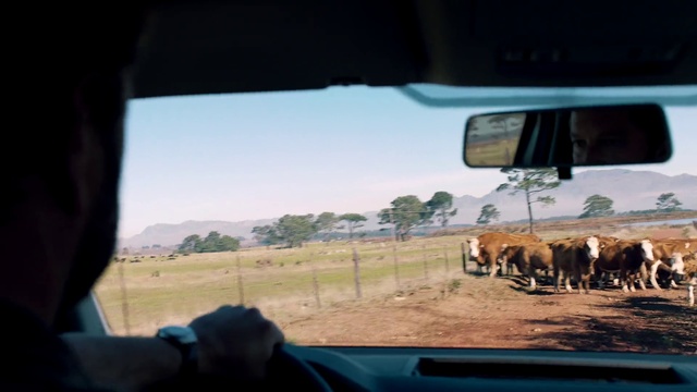 Video Reference N1: Sky, Wildlife, Mode of transport, Rear-view mirror, Safari, Automotive mirror, Windshield, Landscape, Herd, Ranch