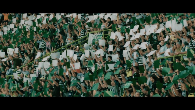 Video Reference N2: People, Crowd, Green, Fan, Audience, Pattern, Team, Design, Font, Uniform, Person
