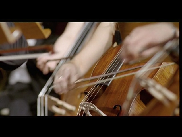 Video Reference N2: String instrument, Musical instrument, String instrument, Music, Bowed string instrument, Violin family, Cello, Viol, Classical music, Violone