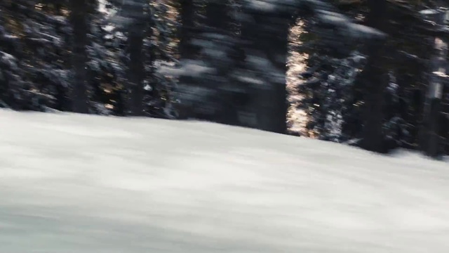 Video Reference N2: Snow, Winter, Tree, Geological phenomenon, Freezing, Slope, Forest, Recreation, Piste, Terrain