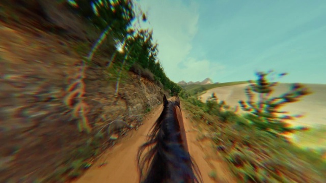 Video Reference N1: Road, Tree, Infrastructure, Dirt road, Thoroughfare, Grass, Plant, Landscape