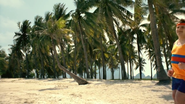 Video Reference N0: beach, tree, vacation, palm tree, arecales, plant, tourism, caribbean, leisure, sky, Person