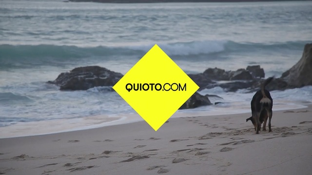 Video Reference N0: beach, shore, coastal and oceanic landforms, ocean, coast, sea, wave, sand, vacation, Person