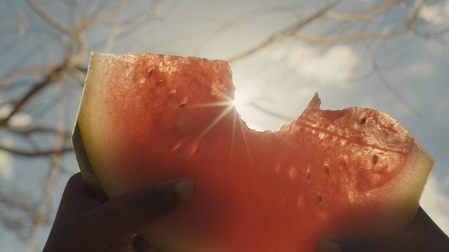 Video Reference N4: close up, macro photography, mouth, lip, hand, flesh, sky, peach