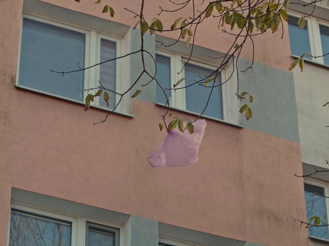 Video Reference N0: Wall, Facade, Pink, Architecture, Window, Tree, House, Balcony, Plant, Building