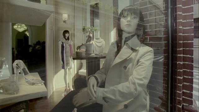 Video Reference N5: interior design, display window, window, Person