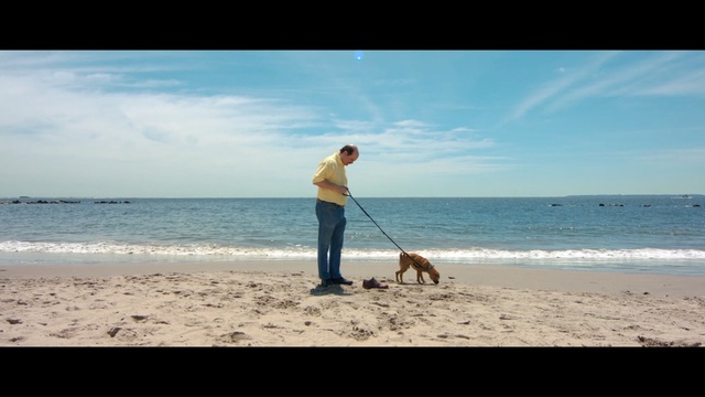 Video Reference N1: beach, sea, body of water, sky, dog, shore, ocean, vacation, coast, dog like mammal, Person