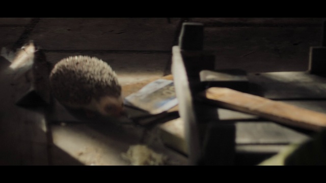 Thumbnail
