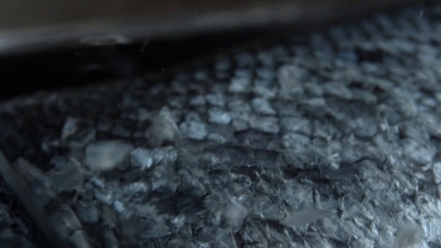 Video Reference N4: Black, Water, Soil, Close-up, Floor, Rock, Photography, Monochrome photography, Flooring, Geological phenomenon, Person, Cake, Sitting, Food, Piece, Small, Table, Close, White, Oven, Wooden, Pizza, Covered, Counter, Laying, Plate, Pan, Bird, Cooking, Birthday, Toppings, Kitchen, Fire