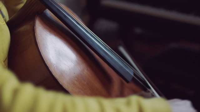 Video Reference N0: Bowed string instrument, Violin, Violin family, String instrument, Fiddle
