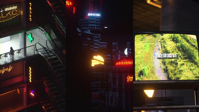 Video Reference N2: Light, Lighting, Night, Metropolitan area, City, Technology, Architecture, Games, Metropolis, Plant