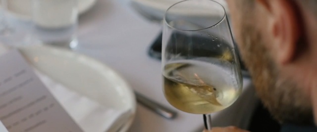 Video Reference N2: Wine glass, Drink, Stemware, Glass, White wine, Champagne stemware, Wine, Alcoholic beverage, Alcohol, Drinkware