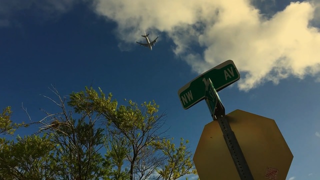 Video Reference N2: sky, cloud, tree, meteorological phenomenon, daytime, atmosphere, street light, sunlight, grass, landscape