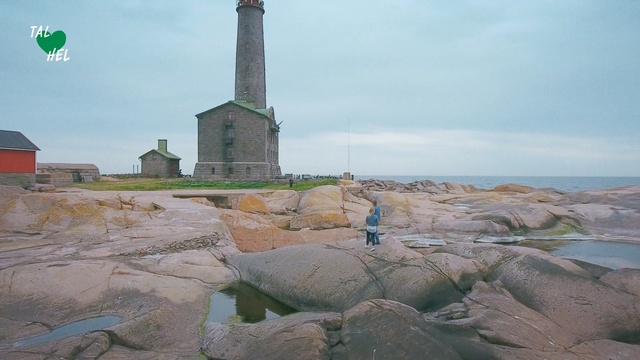 Video Reference N0: Rock, Tower, Sea, Coast, Lighthouse, Tourism, Historic site, Screenshot, Landscape, Sand, Outdoor, Grass, Building, Standing, Stone, Small, Sitting, Water, Large, Green, Walking, Bird, Group, Man, Field, Enclosure, White, Sky, Cloud