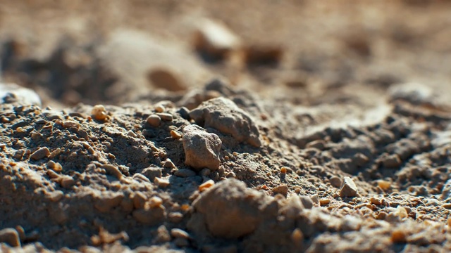 Video Reference N4: Close-up, Soil, Brown, Rock, Photography, Macro photography, Wood, Pattern