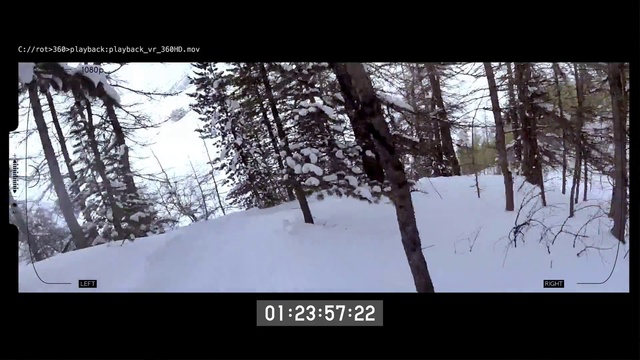 Video Reference N1: Snow, Winter, Nature, Tree, Freezing, Adaptation, Woody plant, Photography, Wildlife, Forest