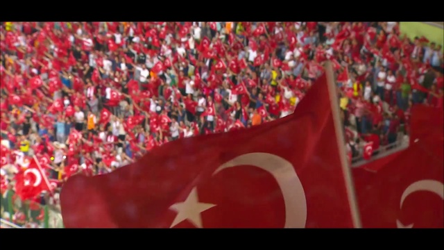Video Reference N3: Red, Fan, Flag, Crowd, Red flag, Stadium, Audience, Plant, Sport venue