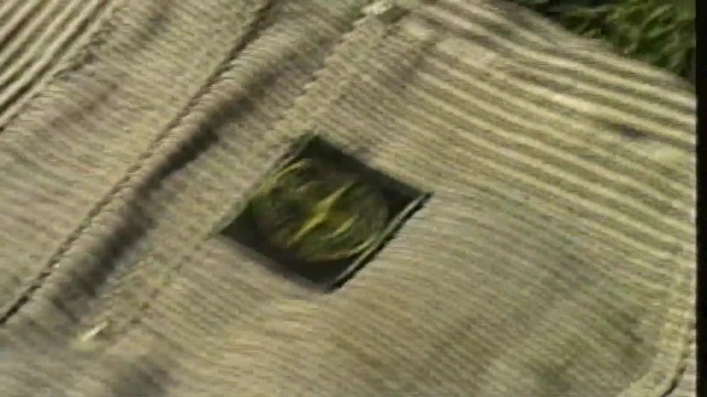 Video Reference N1: Leaf, Pattern, Textile