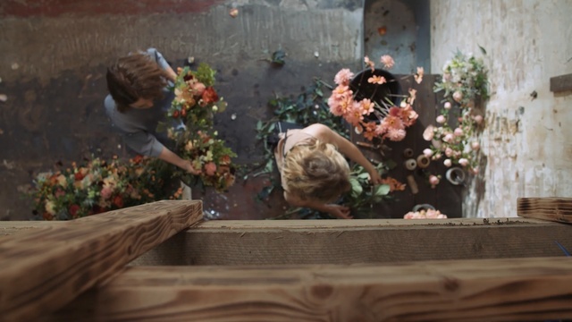 Video Reference N0: flower, plant, Person