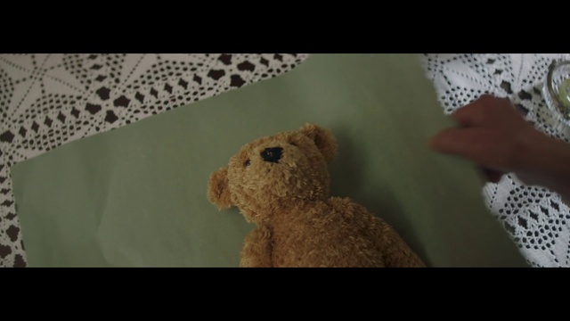 Video Reference N0: Teddy bear, Stuffed toy, Toy, Plush
