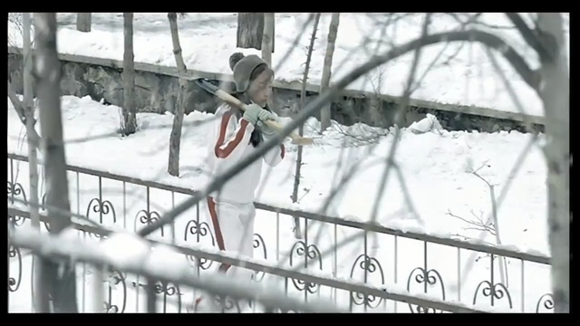 Video Reference N0: Iron, Snow, Handrail, Ice, Metal