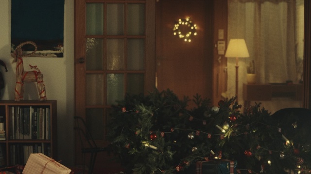 Video Reference N1: home, window, christmas, lighting, christmas decoration, interior design, tree, house, decor, christmas tree