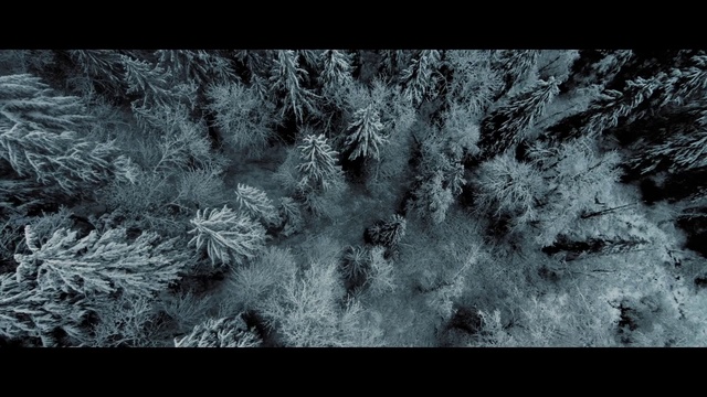 Video Reference N1: Black, Tree, Freezing, Water, Branch, Winter, Pattern, Black-and-white, Design, Sky