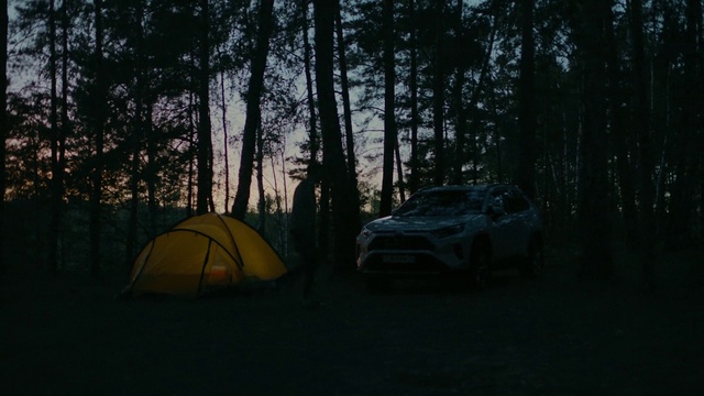 Video Reference N0: Nature, Natural environment, Woodland, Vehicle, Morning, Forest, Car, Wilderness, Tree, Camping