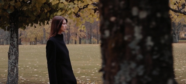 Video Reference N1: tree, woody plant, girl, autumn, outerwear, plant, sunlight, darkness, grass, winter