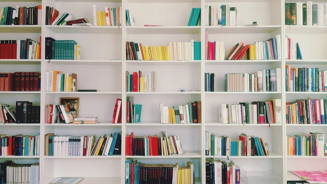 Video Reference N6: Shelving, Bookcase, Shelf, Furniture, Book, Publication, Library, Room, Building, Collection, Person