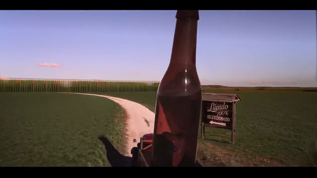 Video Reference N0: Glass bottle, Bottle, Sky, Landscape, Drink, Ecoregion, Grass family, Drinkware, Horizon, Wine bottle