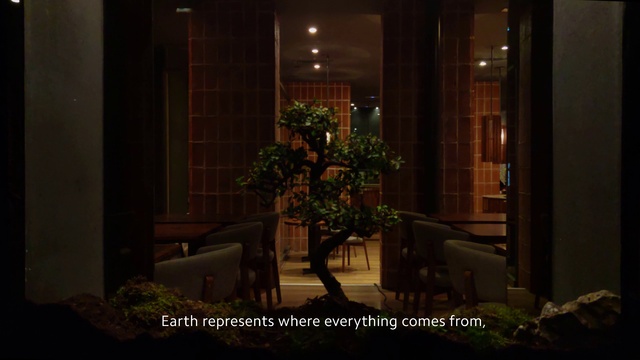 Video Reference N3: Lighting, Room, Home, Tree, Building, Interior design, Plant, Night, House, Window